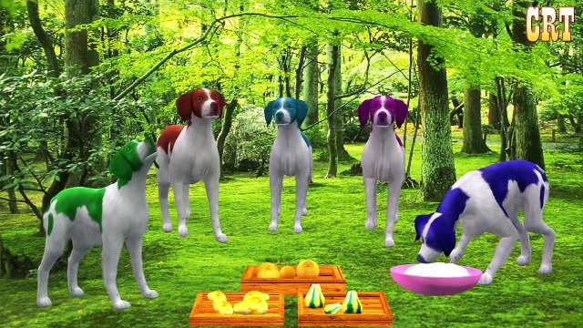 Colours Animals Finger Family Rhymes | Colors Spiderman Finger Family Nursery Rhymes Colle