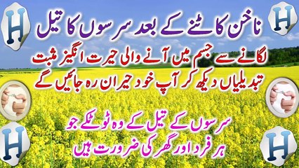 Mustard Oil Benefits -- Sarson Ke Tel Ke Fayde -- Health Tips, Beauty Tips And Desi Totkay In Urdu