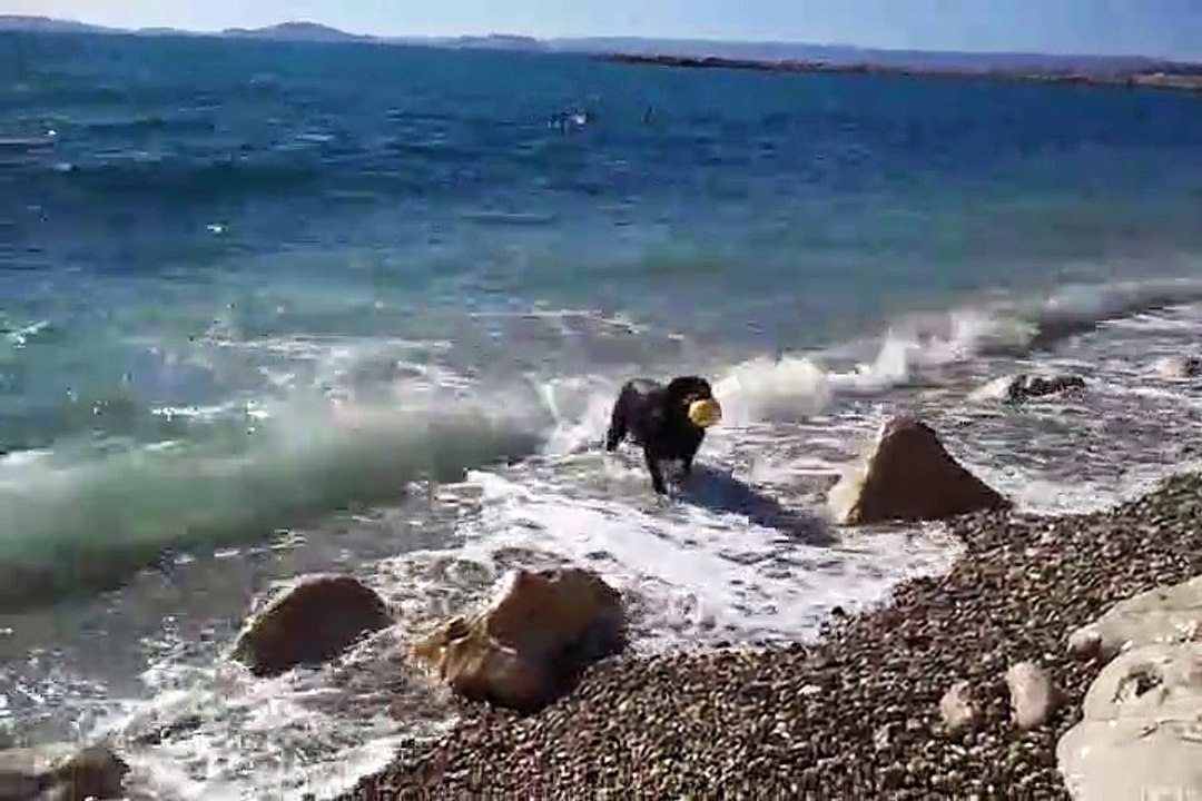 Kouma mon Ange rien ne t efface mon bb d amout