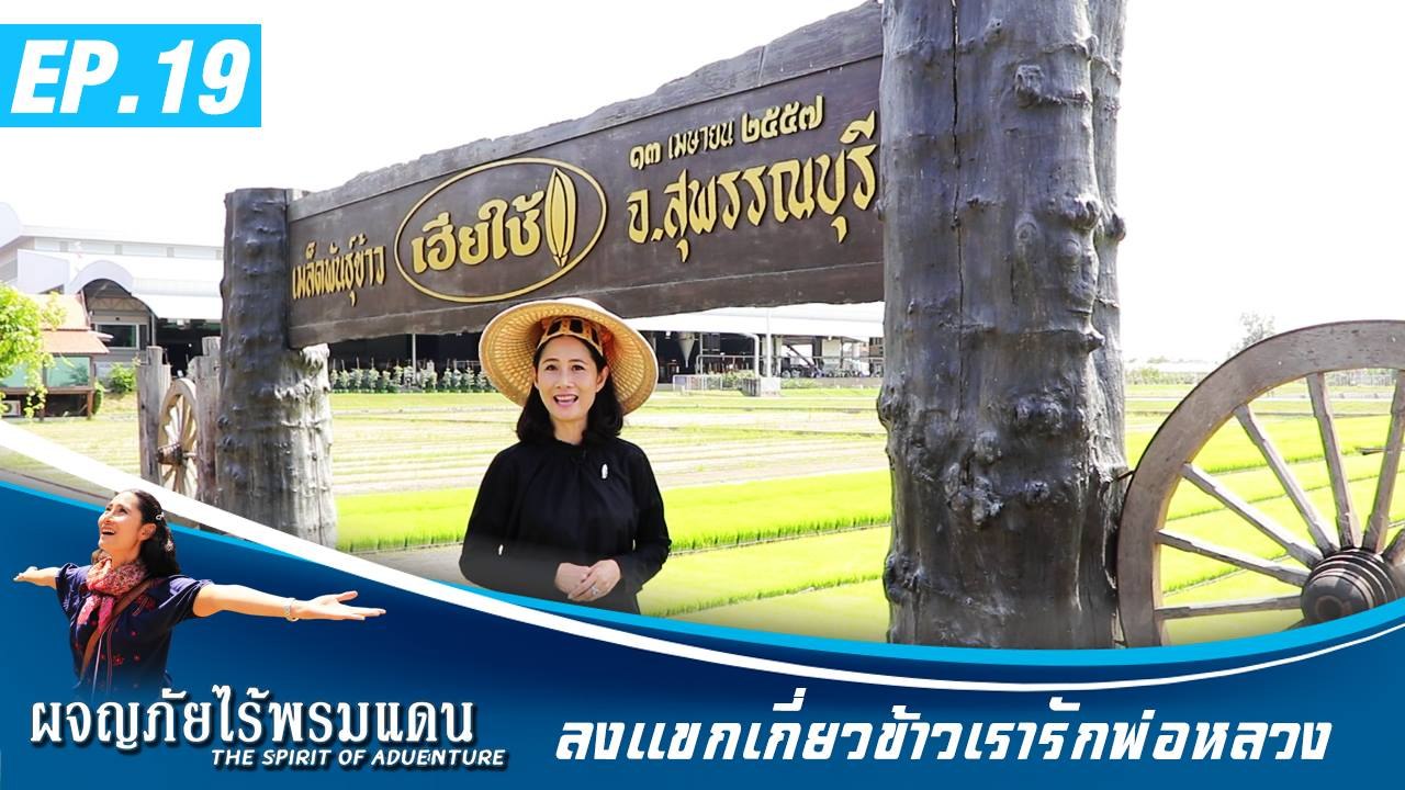 ผจญภัยไร้พรมแดน EP.19   ลงเเขกเกี่ยวข้าว  เรารักพ่อหลวง