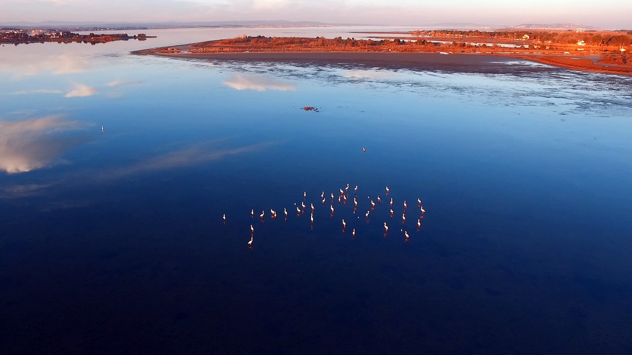 Etang de Thau marseillan