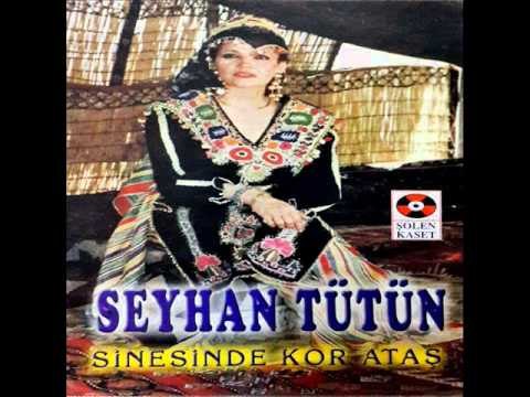 Gesi Bağlarında Dolanıyorum - Seyhan Tütün