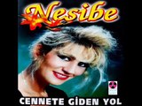 Sevilmek Benimde Hakkım - Nesibe Gördük (Nesibe)