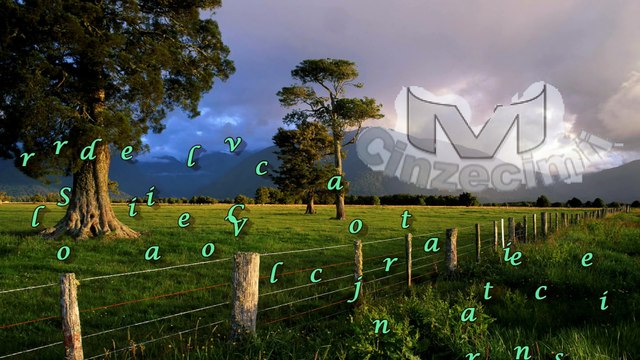 Colaj Surorile din Vicov - Colectie de cantari crestine minunate