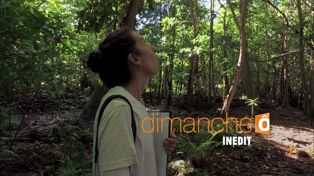 Passion Outre-mer Îles Seychelles et Madagascar