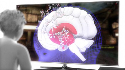 Le cerveau des enfants du numérique