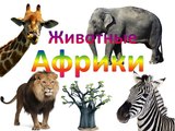 Мультик от kidTV Животные Африки и их звуки Развивающий мультик для детей (звуки животных)