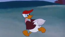 Donald Duck