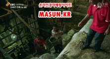 사설경마사이트, 인터넷경마 【 MaSUN 쩜 KR 】 사설경정