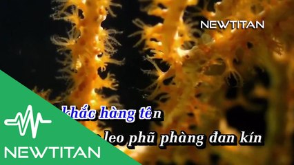 [Karaoke] Trường Cũ Tình Xưa - Khánh Bình [Beat]