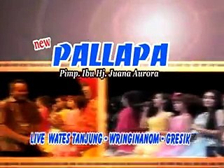 Patah Hati Devi Aldiva New Pallapa Live Wates Tanjung Wringianom 2015
