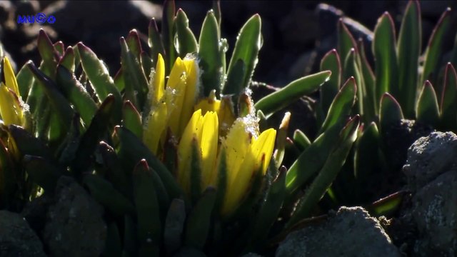 Harun Kolçak - Mavi Dünya (Enstrümantal Müzikler 1080p HQ) Mu©o