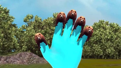 Вокруг медведь Семья палец Дети питомник рифмы песни Тедди поворот |