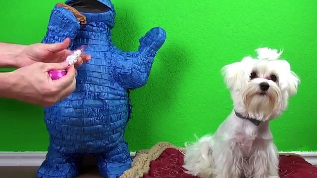 Giant PLAY DOH Egg Kinder Surprise Egg & Choco Treasure Surprise Toys Cookie Monster + Bli