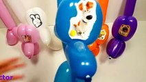 The Secret Life of Pets Finger Family | Learn Colours Dog Baloons Daddy Finger Song Compilation