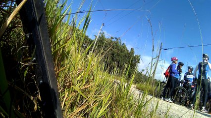 4k, ultra hd, trilhas de ecoturismo,  Bairro Morro Grande, Tremembé, SP, Marcelo Ambrogi, Brasil
