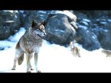 Far Cry 4 Himalaya Trailer [FR]