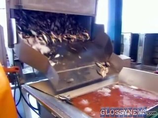 Why You Should Stop Feeding Your Children Hot Dogs!