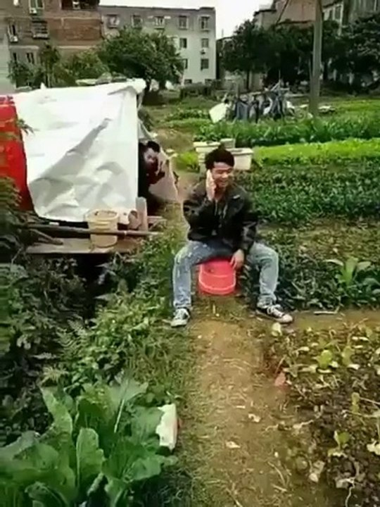 top funny whatsapp video 2017