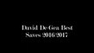 David De Gea Best saves