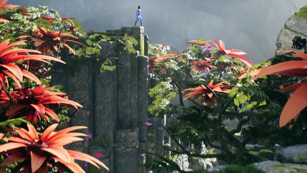 Paragon - Annonce de Yin