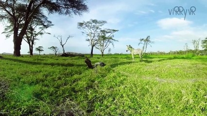 Virry VR - Announcement Trailer - PlayStation VR