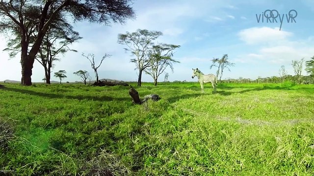 Virry VR - Announcement Trailer - PlayStation VR