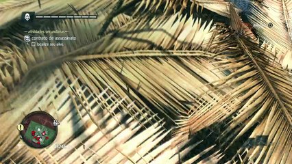 Assassins Creed IV Black Flag - Discreto e Preciso