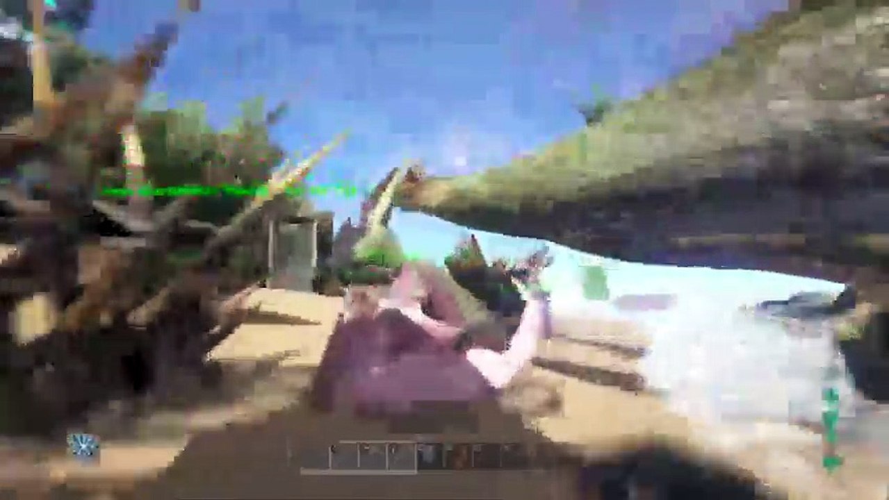 Live ark (86)