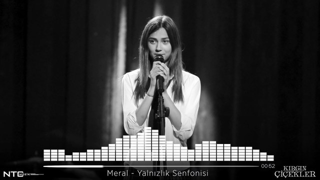 Kırgın Çiçekler - Meral - Yalnızlık Senfonisi