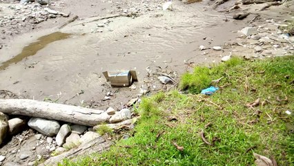 alam liar di Gunung Lauser