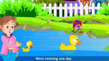 Five Little Ducks | 3D Nursery Rhymes | Kids Songs | Childrens Music Video