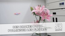 Un drone pour polliniser les fleurs si les abeilles disparaissent un jour?