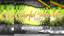 Selekta Faya Gong - Colorful Side Riddim mix promo 2016