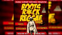 Selekta Faya Gong - Roots Rock Reggae Riddim mix promo 2016