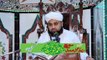 Allama muhammad Shaukat Chishty takmeel e deen aur wisal e mustafa compleet bayan