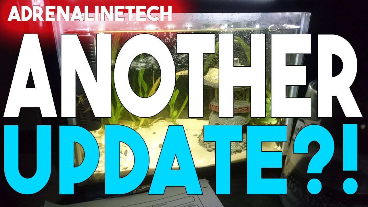 Another Update?!