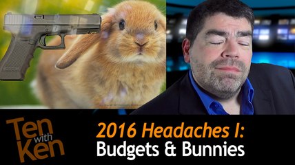 2016 Headaches I: Budgets & Bunnies