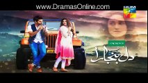 Dil Banjara Episode 21 - 10th March 2017 Promo on Hum Tv