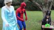 Spiderman Frozen Elsa GIANT CHUPA CHUPS LOLLIPOPS SURPRISE Joker Pranks in Real Life Super