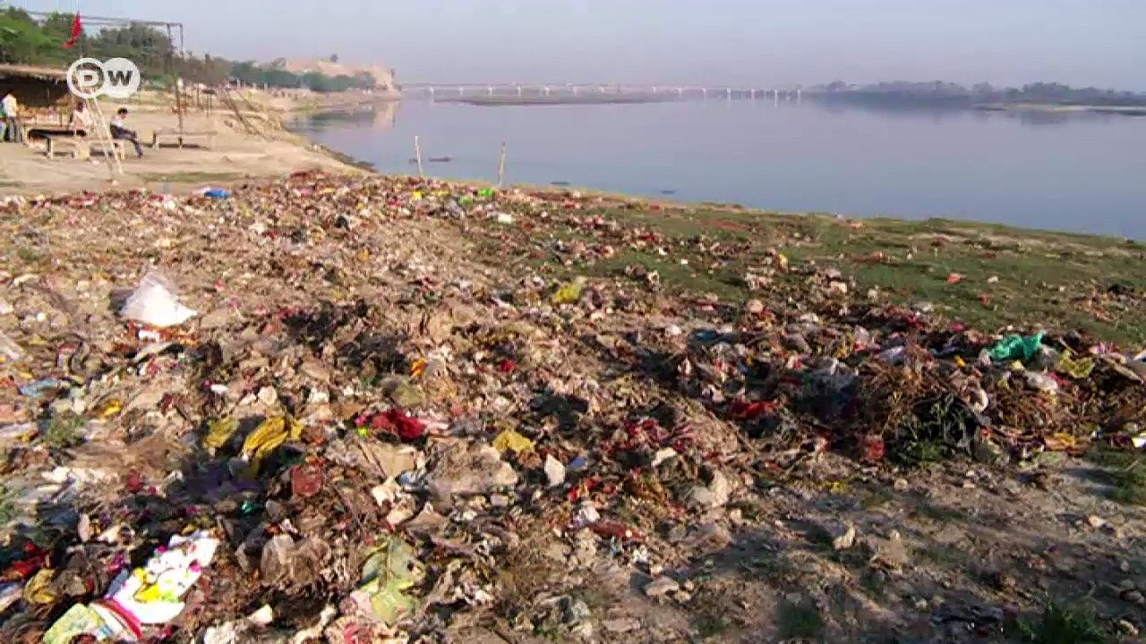 Indien: Hindus, Muslime und die heilige Kuh | DW Nachrichten