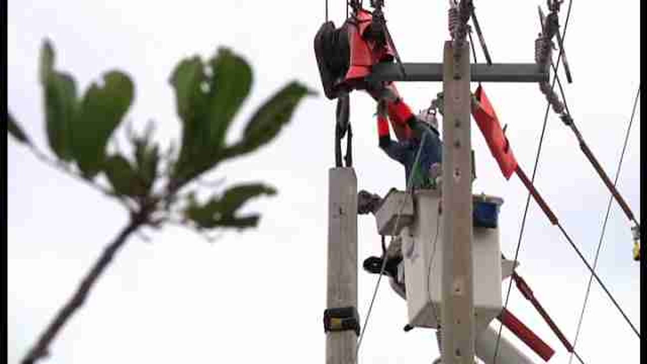 Desempleo en 4,7 % y 235.000 nuevos trabajos en primer mes completo de Trump