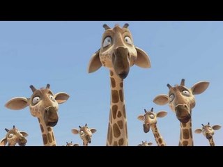 DRÔLES D'OISEAUX Extrait VF du film d'Animation