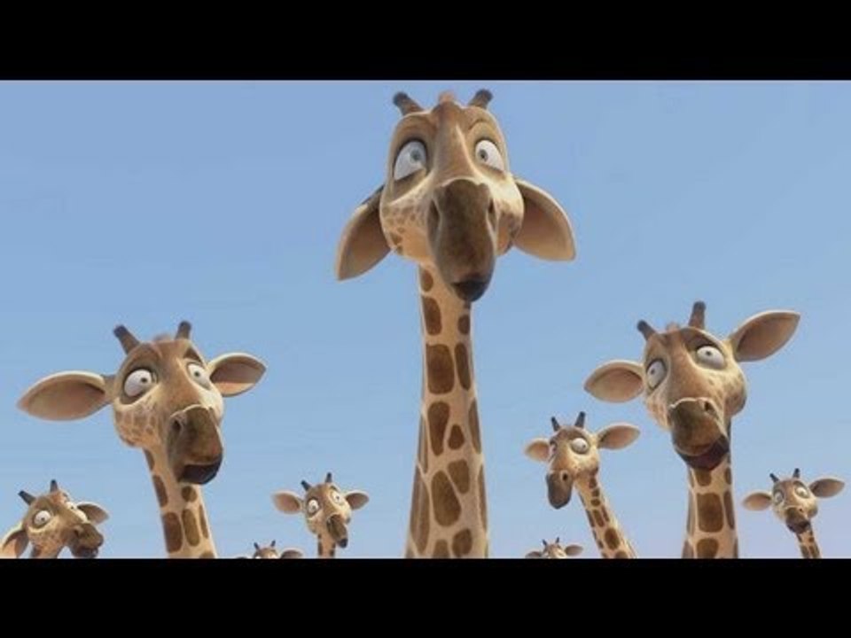DRÔLES D'OISEAUX Extrait VF du film d'Animation