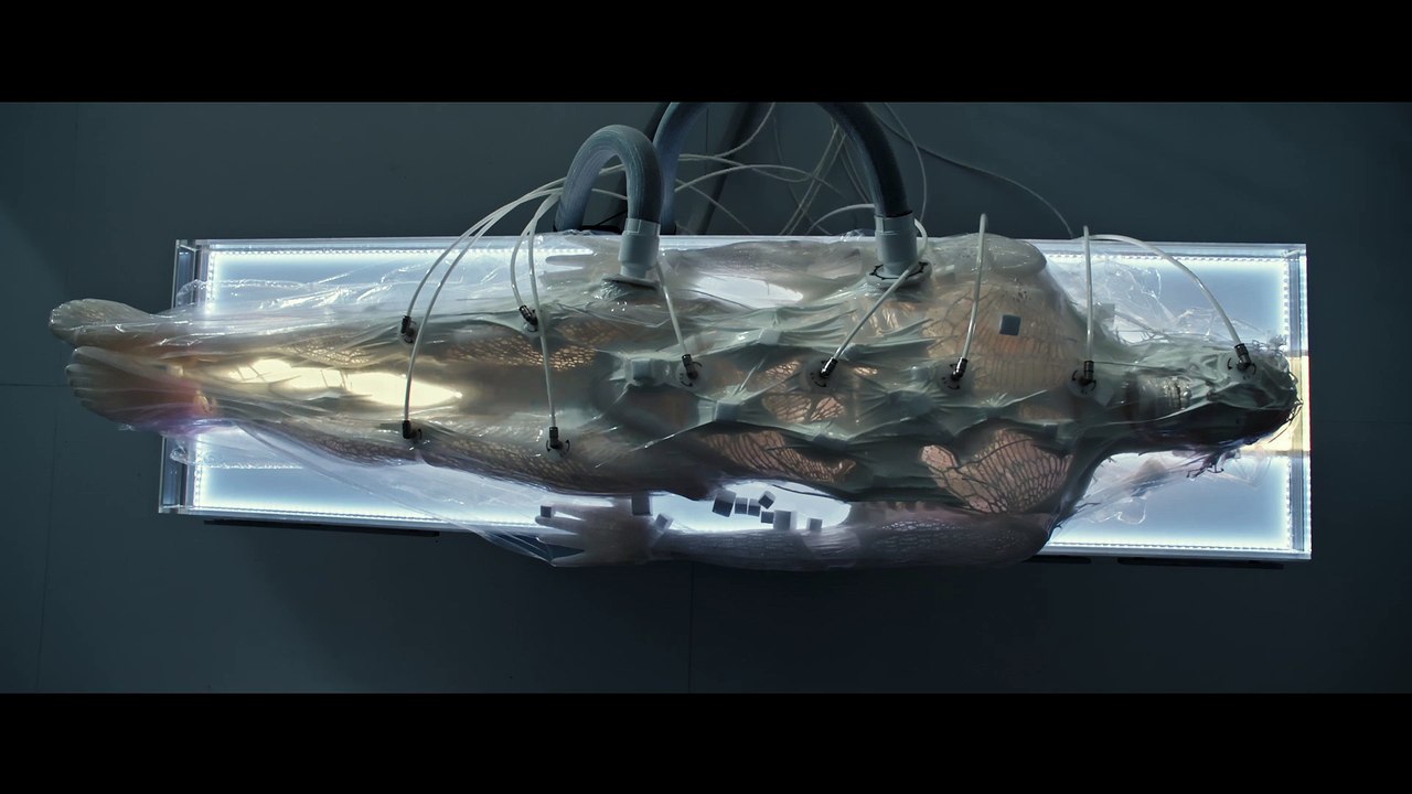 Alien Covenant - Meet Walter