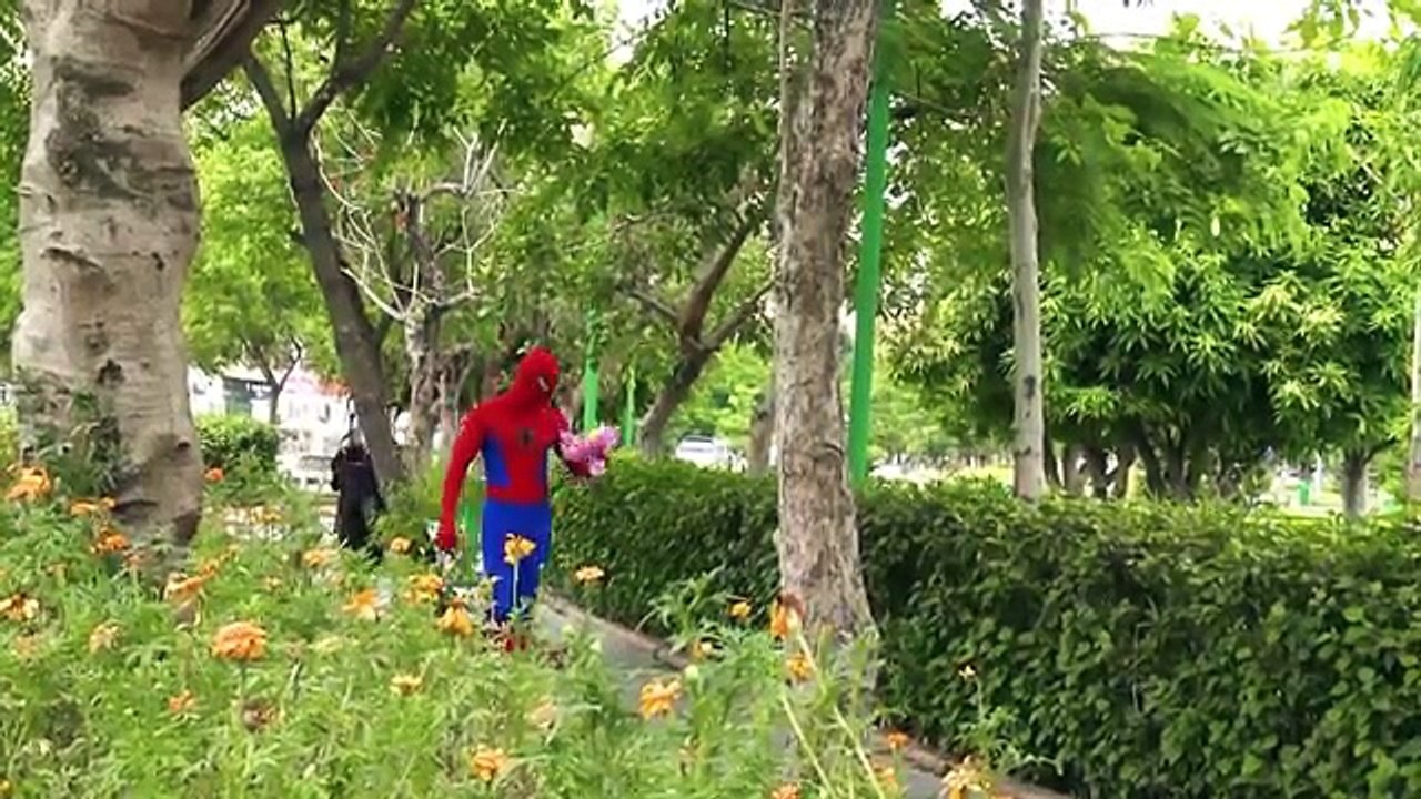 BAD BABY LEGO ZOMBIES EAT McDONALDS vs LEGO BATMAN MOVIE⎜SPIDERMAN ELSA Baby Toddler Famil