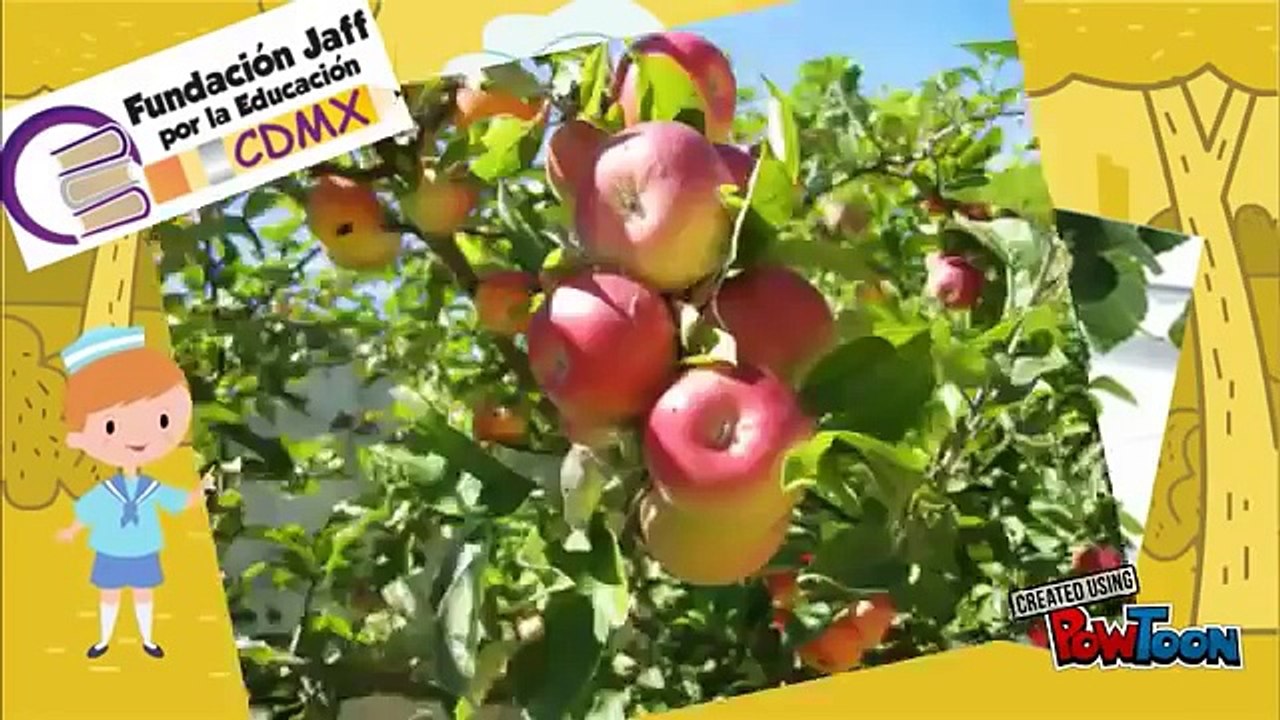 Hanna Jaff Bosdet - Azoteas Sustentables - Fundación Jaff por la Educación