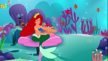 Finger Family Little Mermaid | Mermaid Finger Family Animal Nursery Rhymes Songs For Child