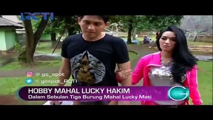 Burung Seharga Rp 50 juta Milik Lucky Hakim Mati