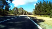 Kangaroo Hit and Run